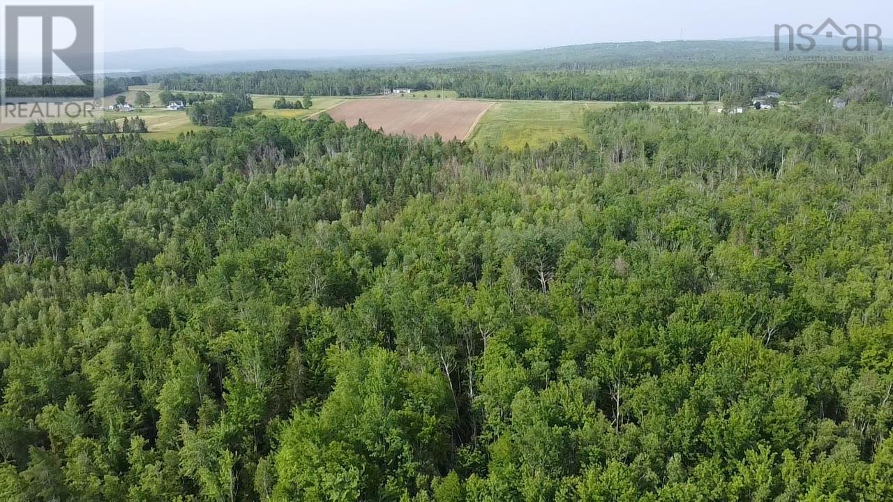 Scotch Hill Road, Scotch Hill, Nova Scotia  B0K 1H0 - Photo 2 - 202414548