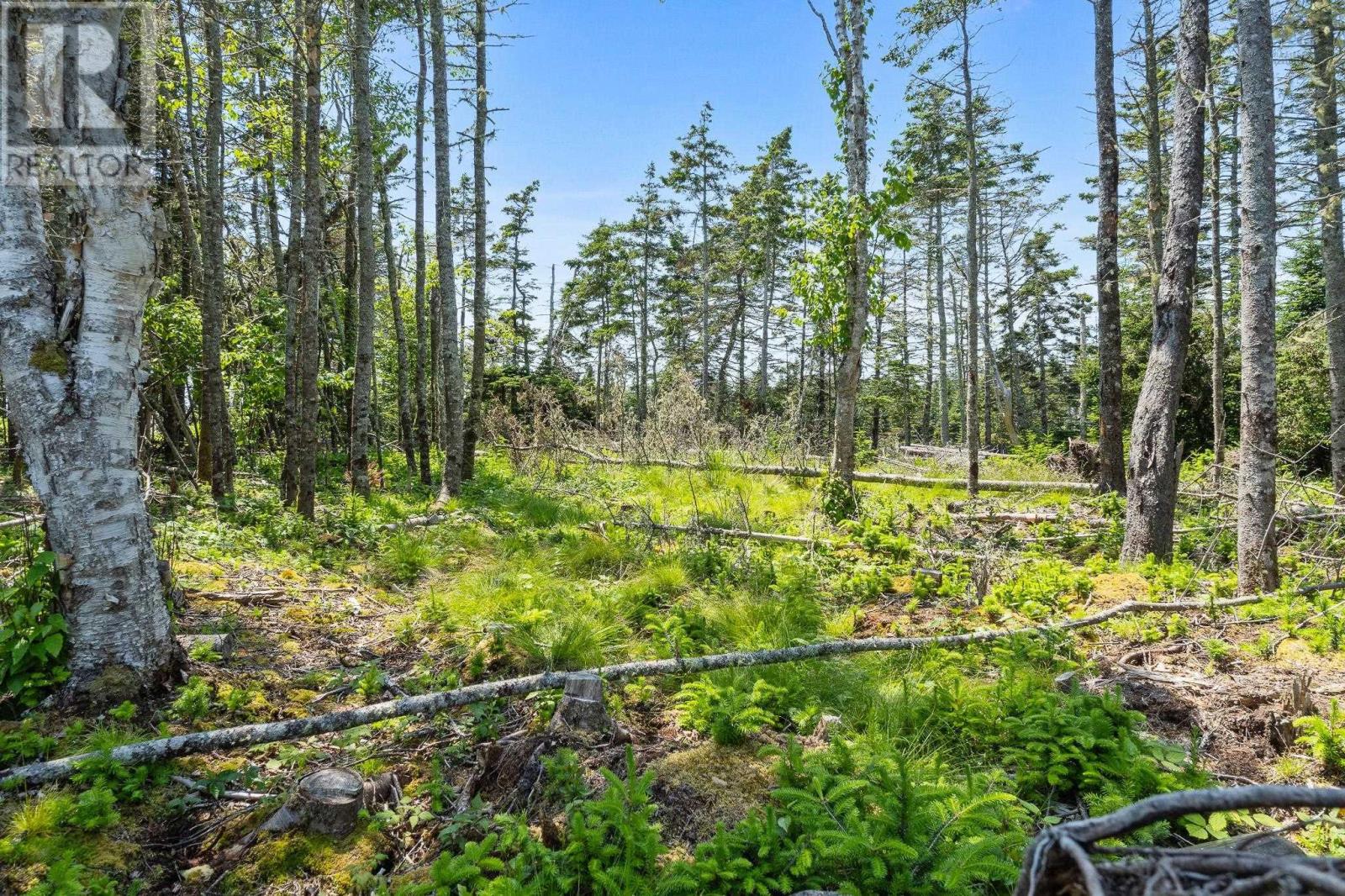 Lot Highway 207, Seaforth, Nova Scotia  B0J 2L0 - Photo 20 - 202414632