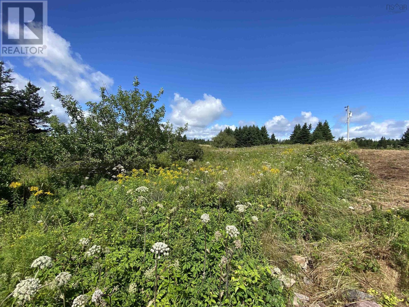 2 Lots Pondville North Road, Pondville, Nova Scotia  B0E 1K0 - Photo 12 - 202414658