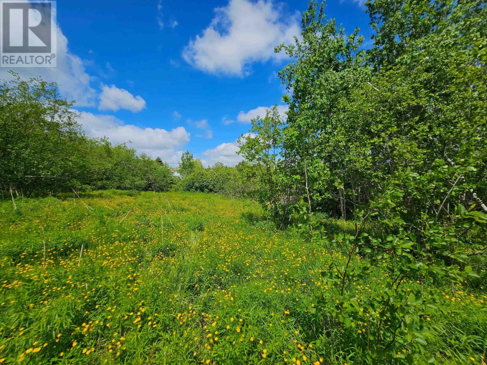 8392 Highway 224, Upper Musquodoboit, Nova Scotia  B0N 2M0 - Photo 2 - 202414663