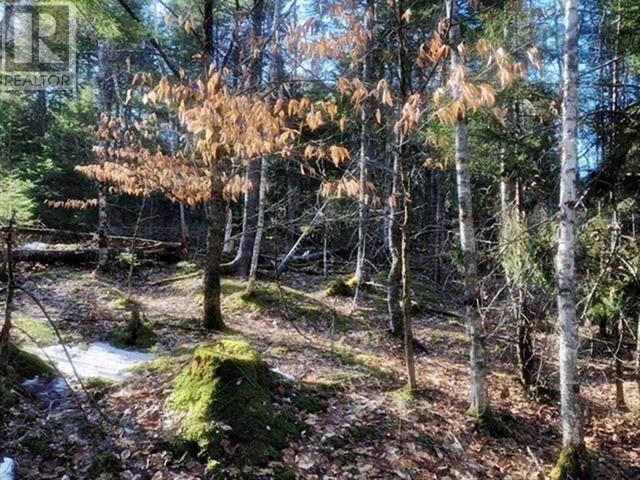 Lot Wentzell Road, Baker Settlement, Nova Scotia  B4V 7J4 - Photo 10 - 202414665