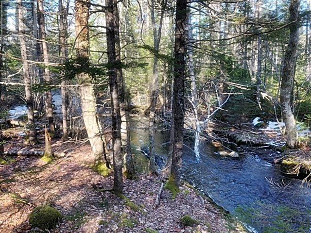 Lot Wentzell Road, Baker Settlement, Nova Scotia  B4V 7J4 - Photo 12 - 202414665