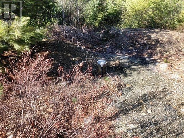 Lot Wentzell Road, Baker Settlement, Nova Scotia  B4V 7J4 - Photo 9 - 202414665