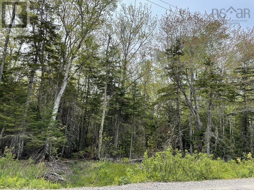 Beverly's Hill Road, baddeck inlet, Nova Scotia