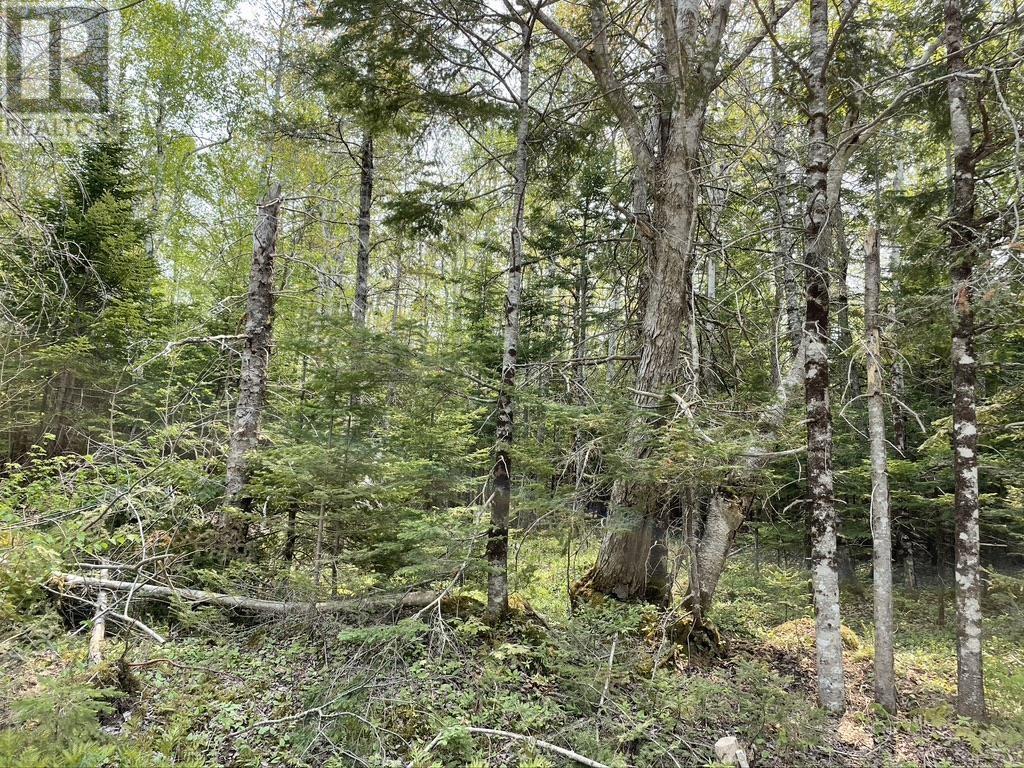 Beverly's Hill Road, Baddeck Inlet, Nova Scotia  B0E 1B0 - Photo 2 - 202414679