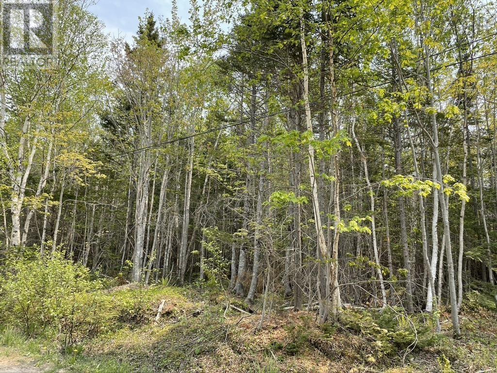 Beverly's Hill Road, Baddeck Inlet, Nova Scotia  B0E 1B0 - Photo 9 - 202414679