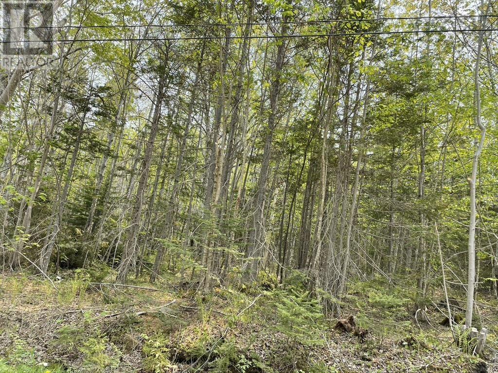 Old County Road, Baddeck Inlet, Nova Scotia  B0E 1B0 - Photo 3 - 202414682