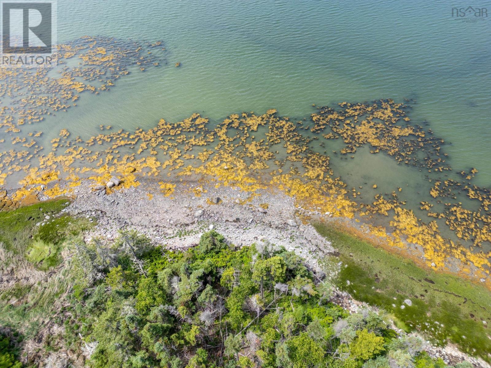 Lot 0 Tittle Road, Surettes Island, Nova Scotia  B0W 3M0 - Photo 4 - 202414769