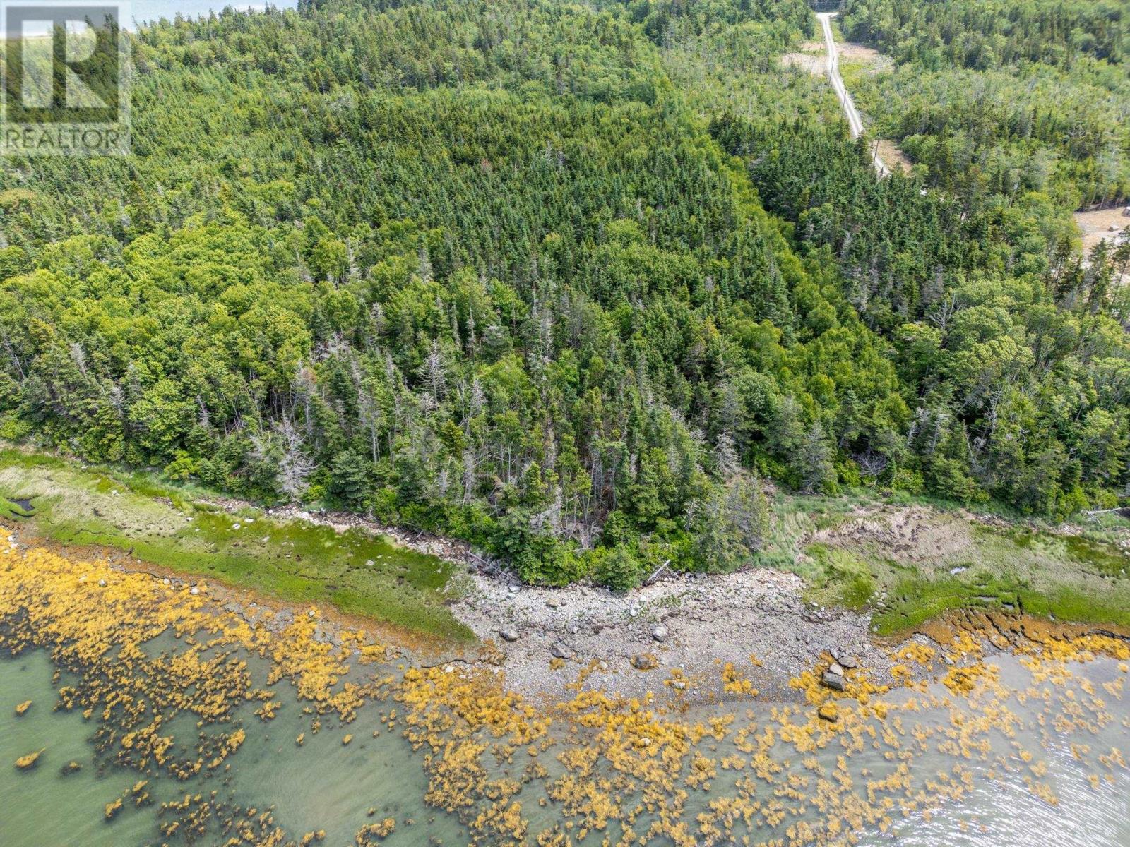 Lot 0 Tittle Road, Surettes Island, Nova Scotia  B0W 3M0 - Photo 6 - 202414769