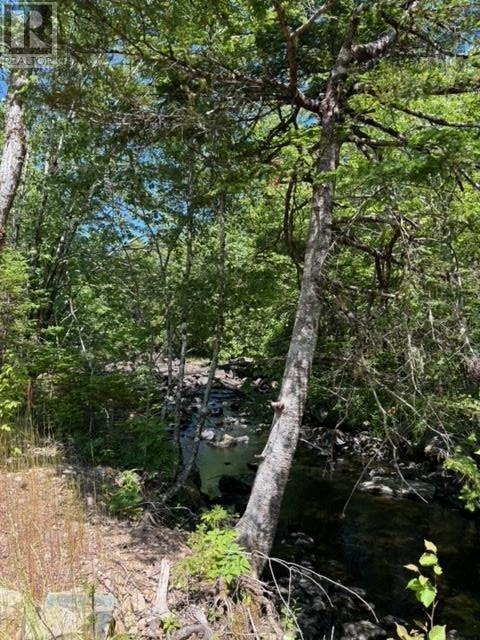 1988 New Chester Road, New Chester, Nova Scotia  B0J 2K0 - Photo 21 - 202414967