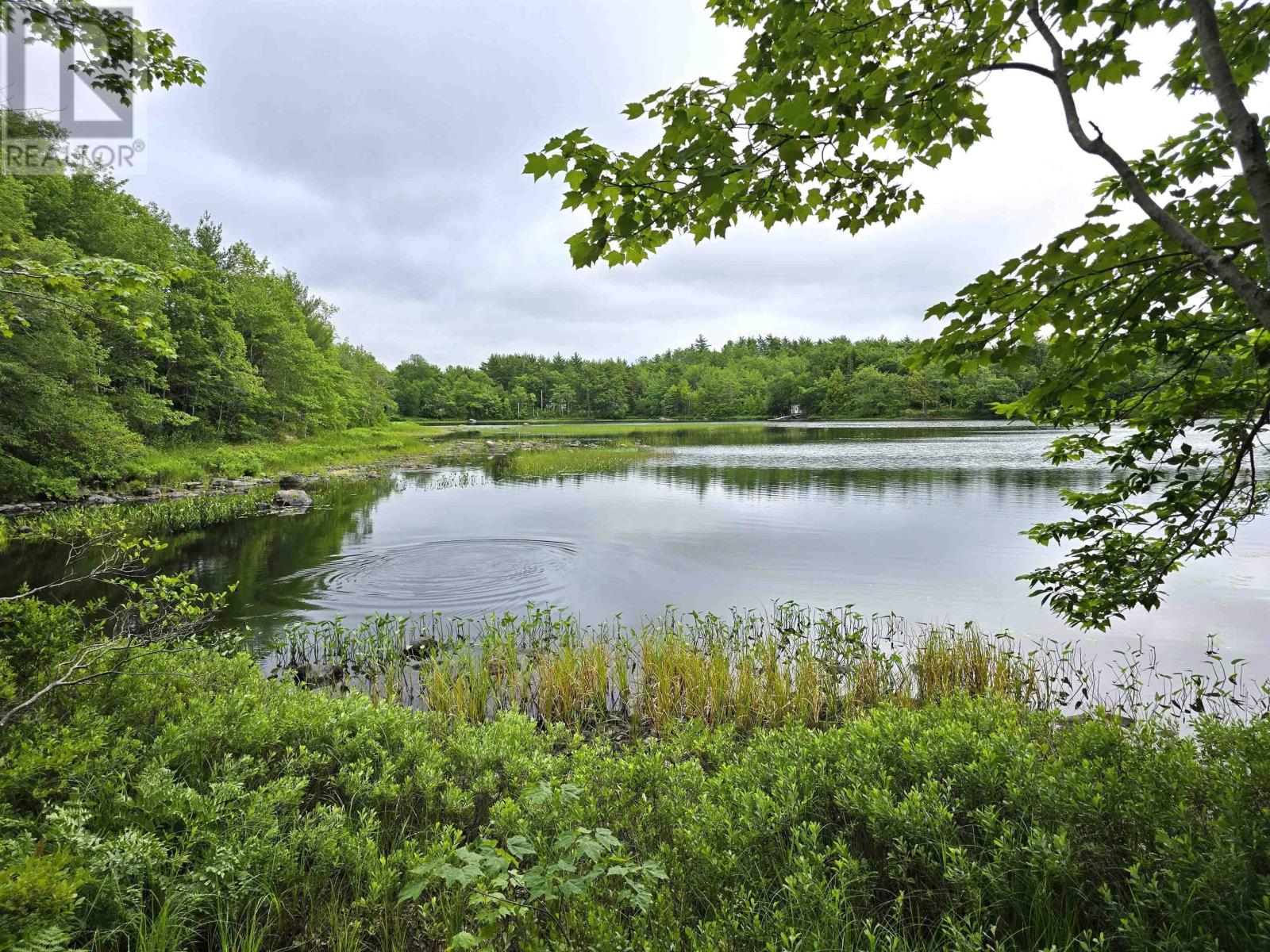 Lot 1 Selig Road, east clifford, Nova Scotia