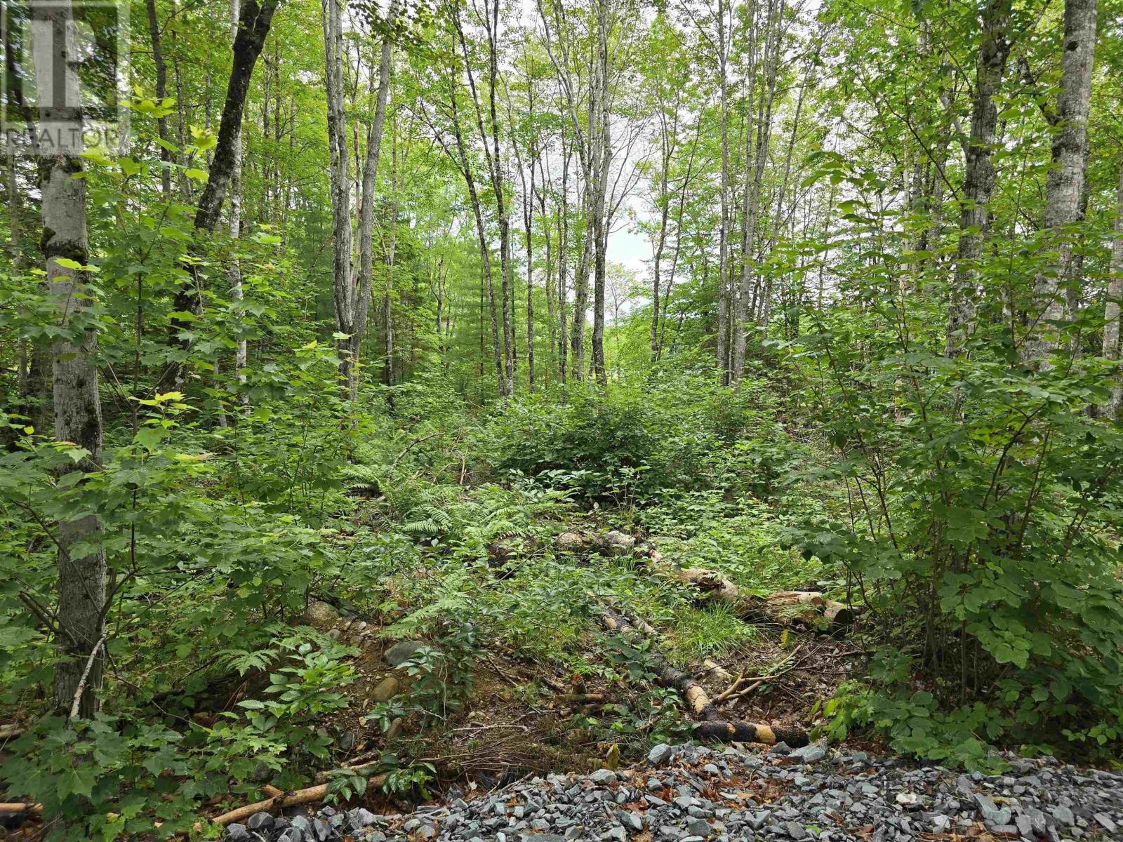 Lot 1 Selig Road, East Clifford, Nova Scotia  B4V 7R9 - Photo 12 - 202414983