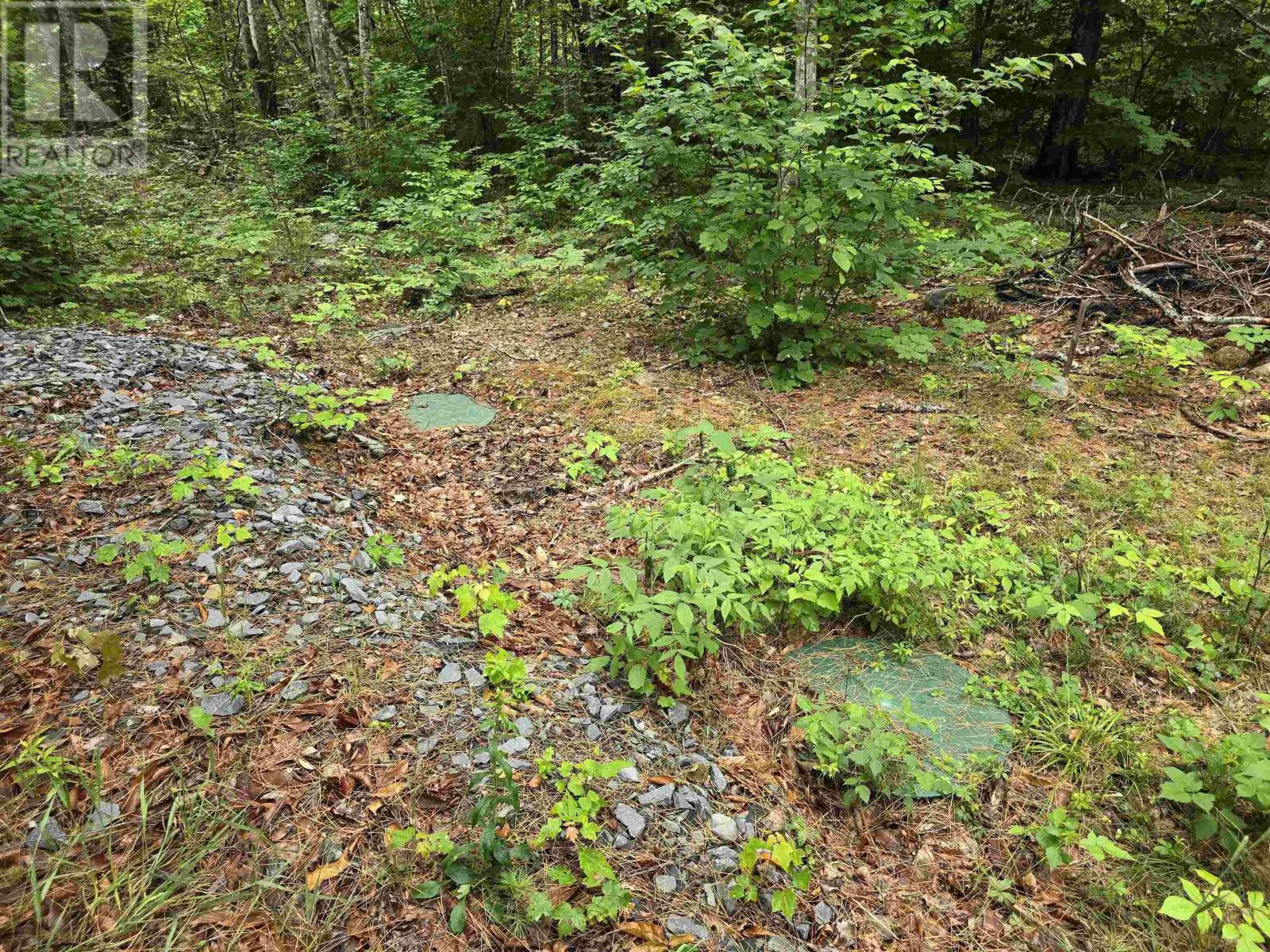 Lot 1 Selig Road, East Clifford, Nova Scotia  B4V 7R9 - Photo 13 - 202414983