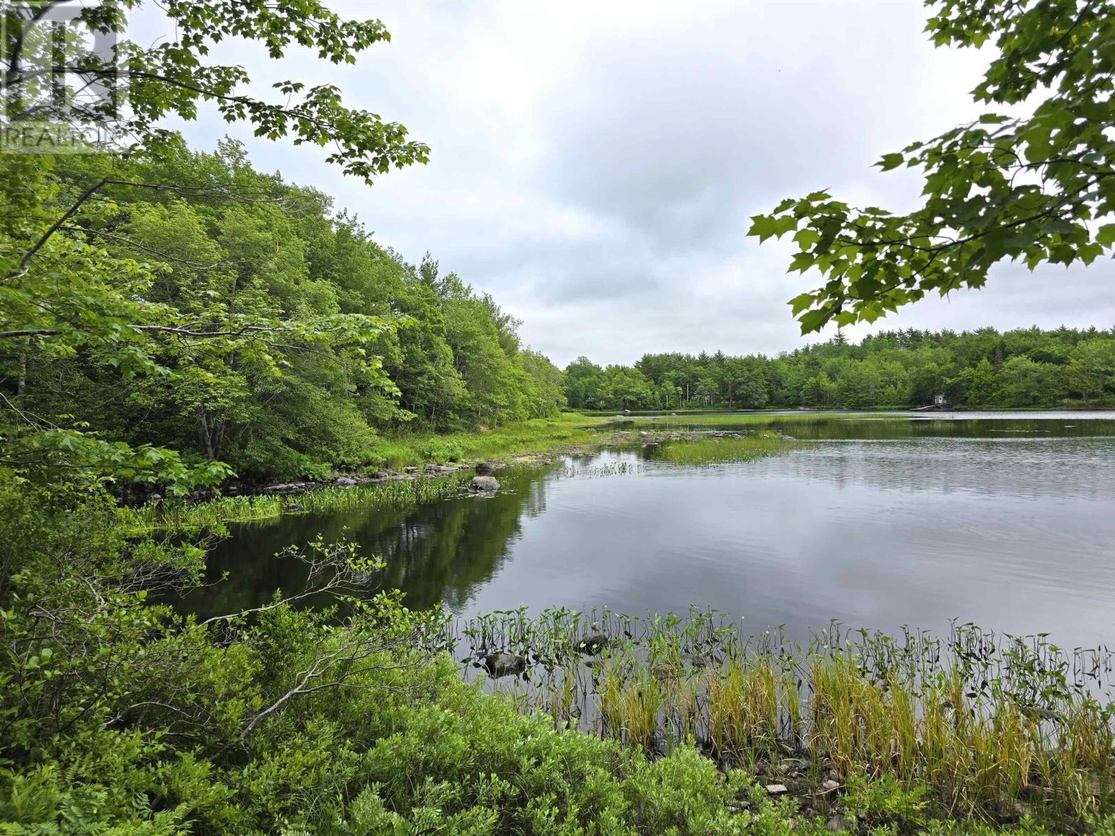 Lot 1 Selig Road, East Clifford, Nova Scotia  B4V 7R9 - Photo 15 - 202414983