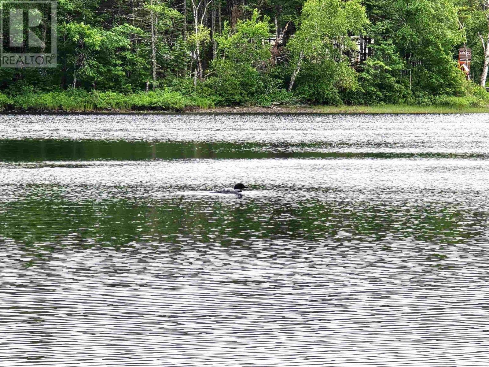 Lot 1 Selig Road, East Clifford, Nova Scotia  B4V 7R9 - Photo 2 - 202414983