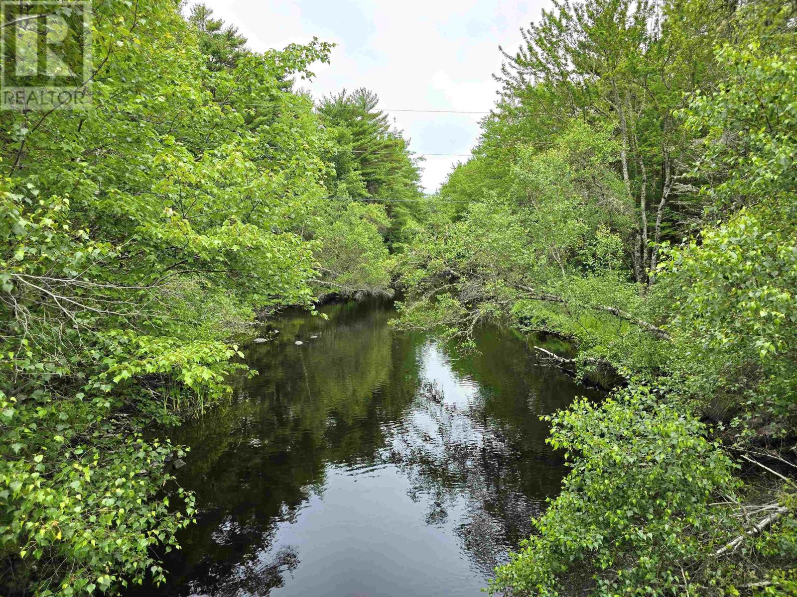 Lot 1 Selig Road, East Clifford, Nova Scotia  B4V 7R9 - Photo 20 - 202414983