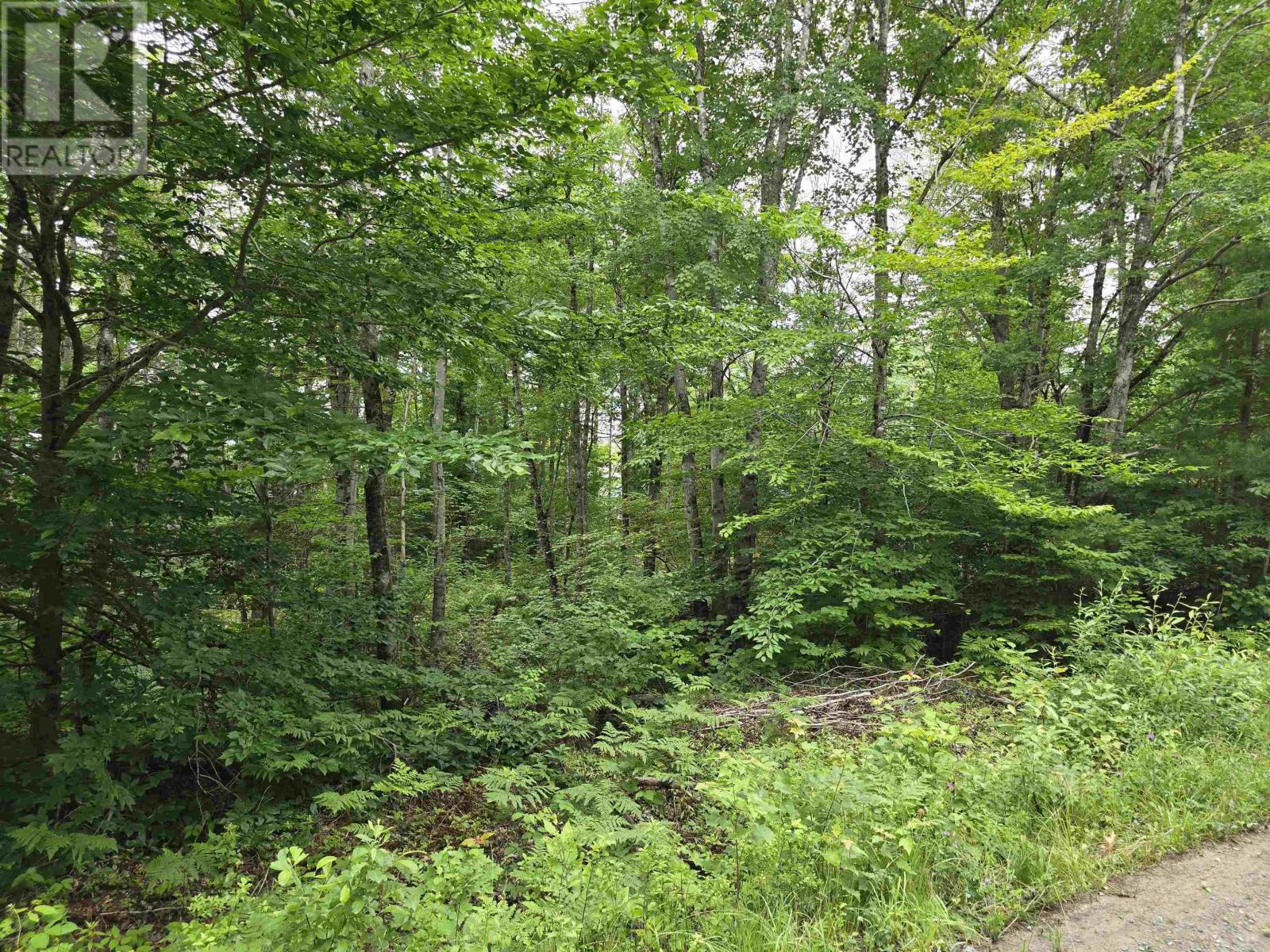 Lot 1 Selig Road, East Clifford, Nova Scotia  B4V 7R9 - Photo 25 - 202414983