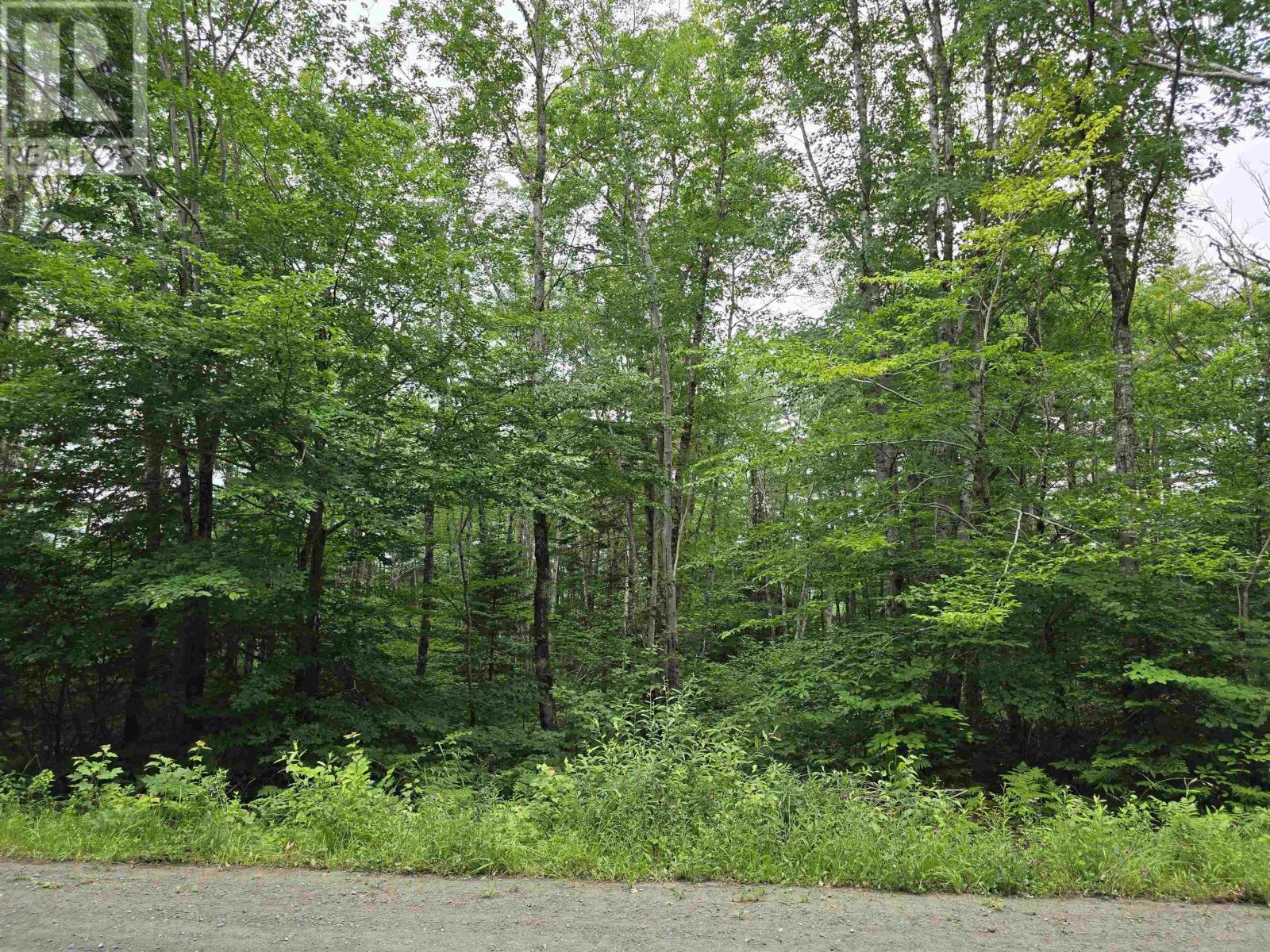 Lot 1 Selig Road, East Clifford, Nova Scotia  B4V 7R9 - Photo 26 - 202414983