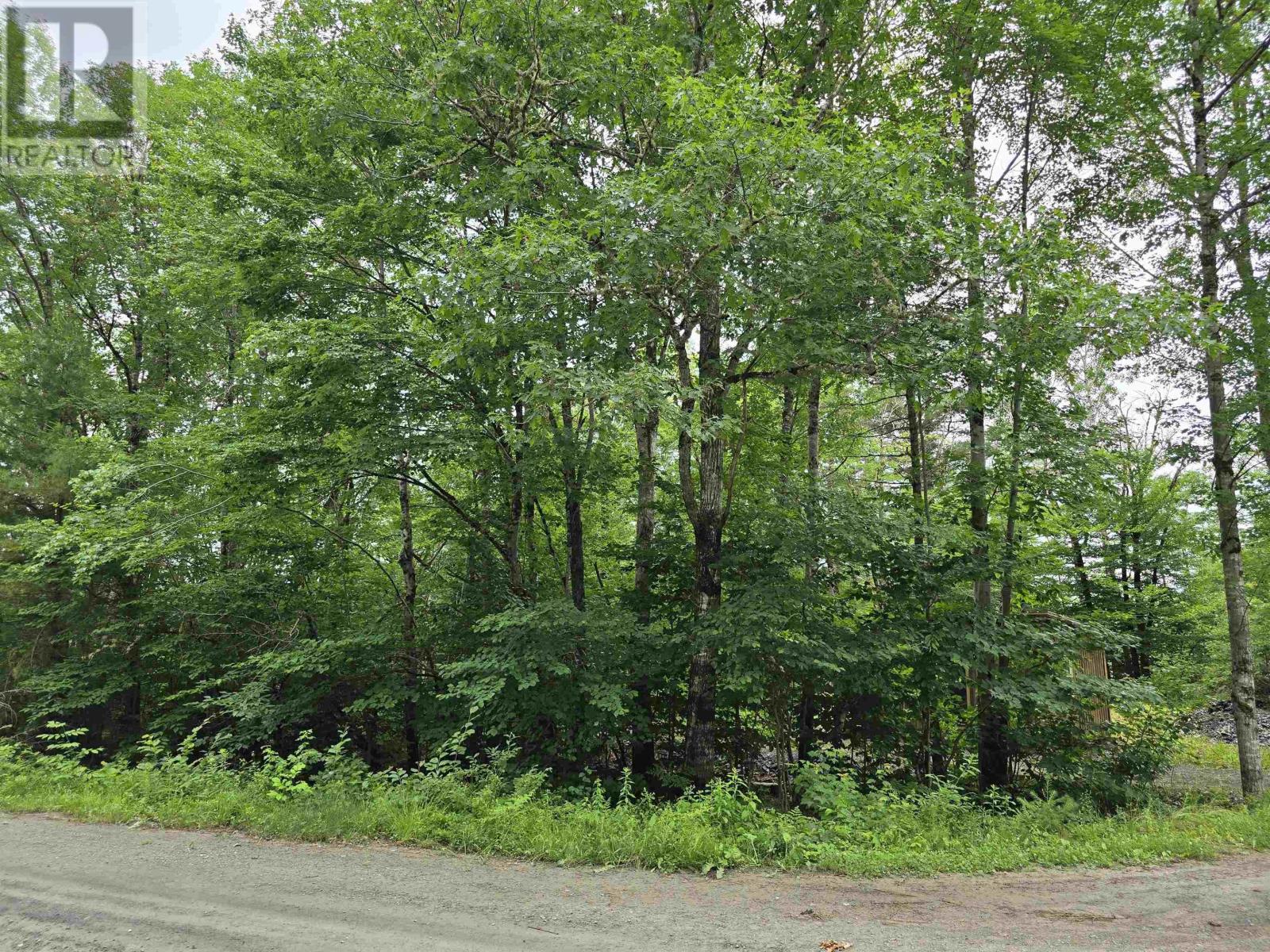 Lot 1 Selig Road, East Clifford, Nova Scotia  B4V 7R9 - Photo 27 - 202414983