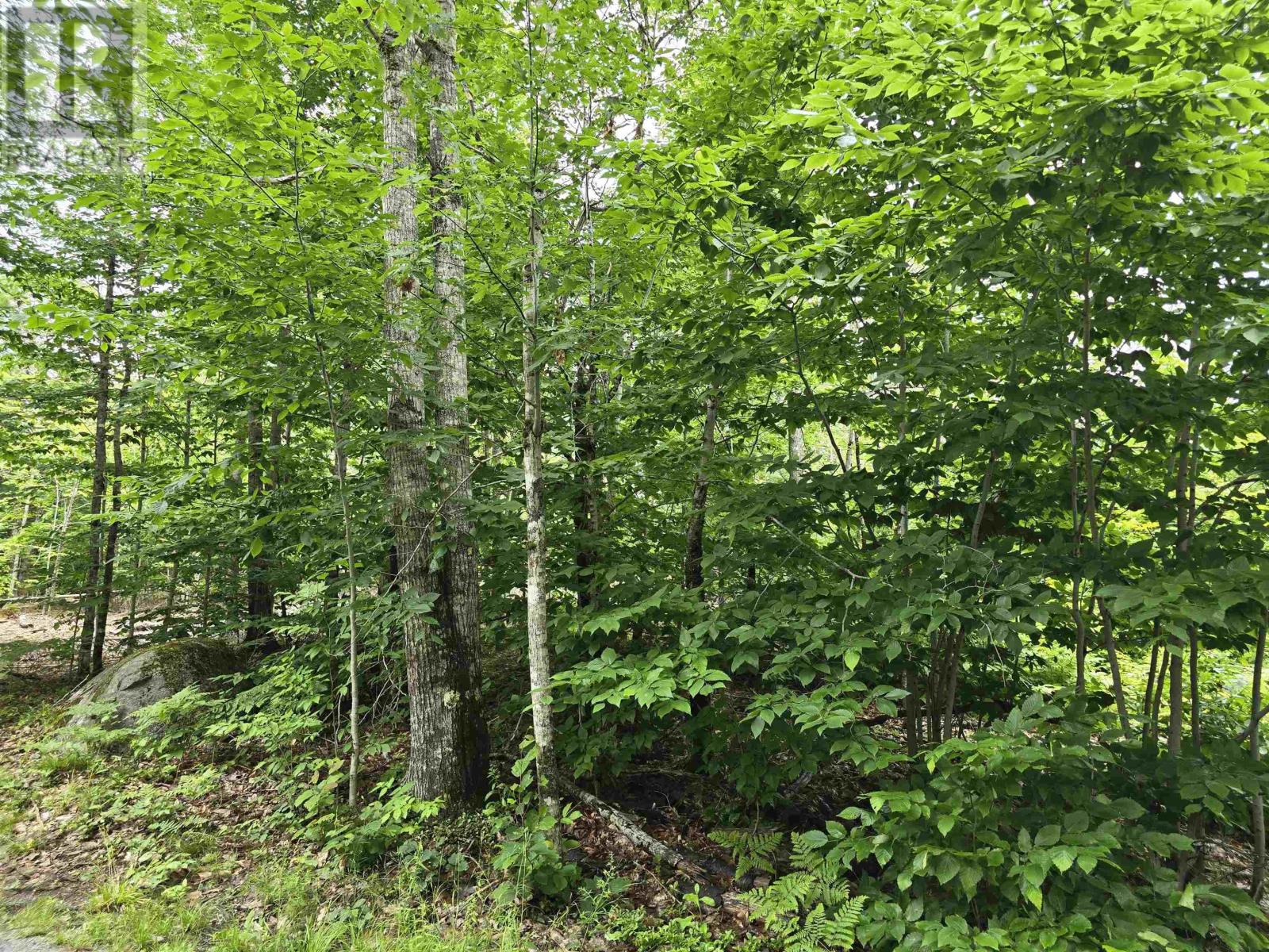 Lot 1 Selig Road, East Clifford, Nova Scotia  B4V 7R9 - Photo 28 - 202414983