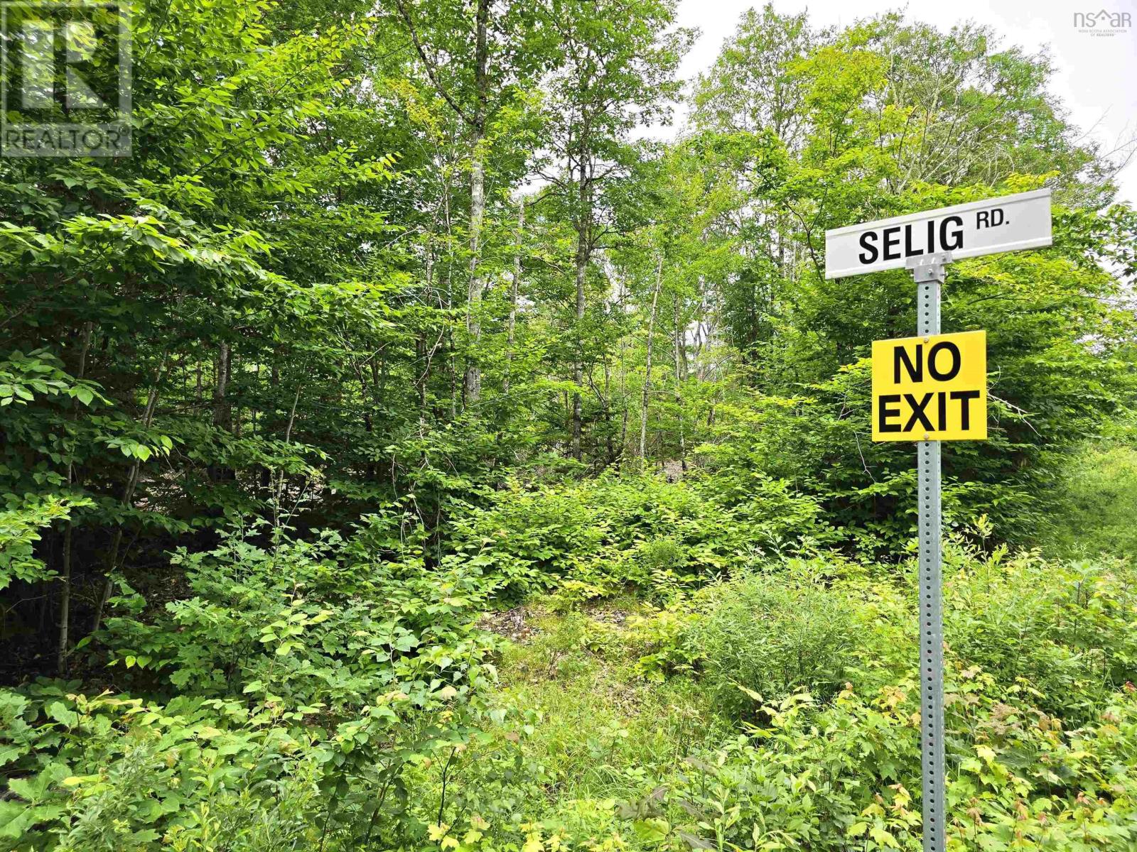 Lot 1 Selig Road, East Clifford, Nova Scotia  B4V 7R9 - Photo 3 - 202414983