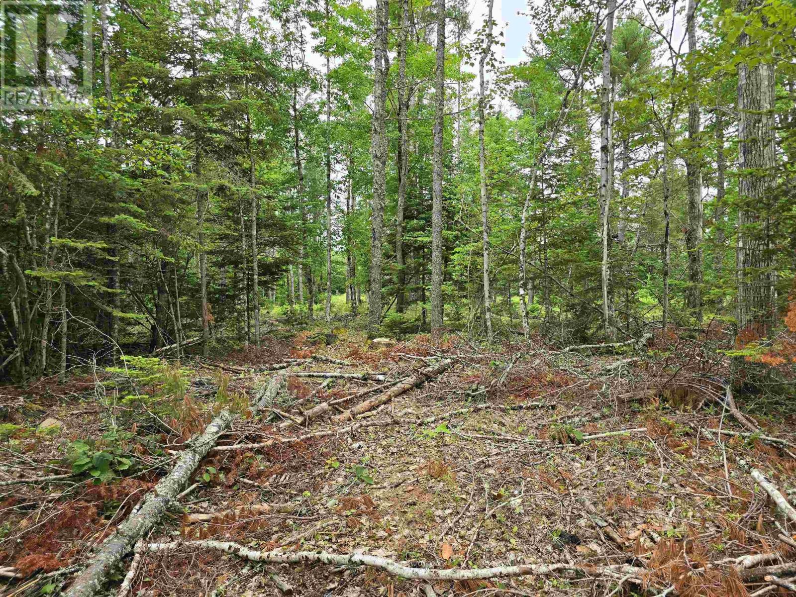 Lot 1 Selig Road, East Clifford, Nova Scotia  B4V 7R9 - Photo 31 - 202414983