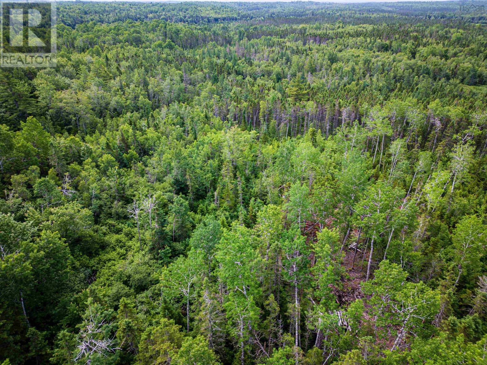 LOT 2-CD Renfrew Road, nine mile river, Nova Scotia