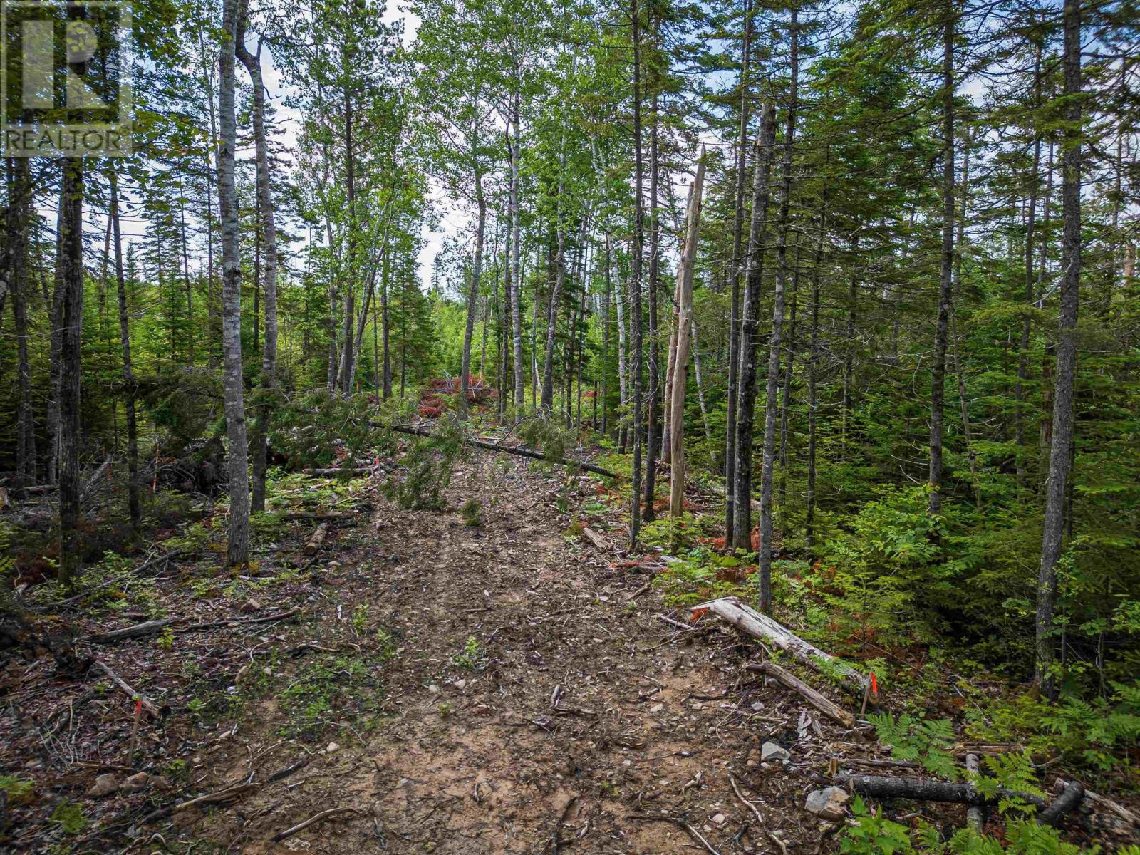 Lot 2-Cd Renfrew Road, Nine Mile River, Nova Scotia  B2S 2W5 - Photo 3 - 202415035