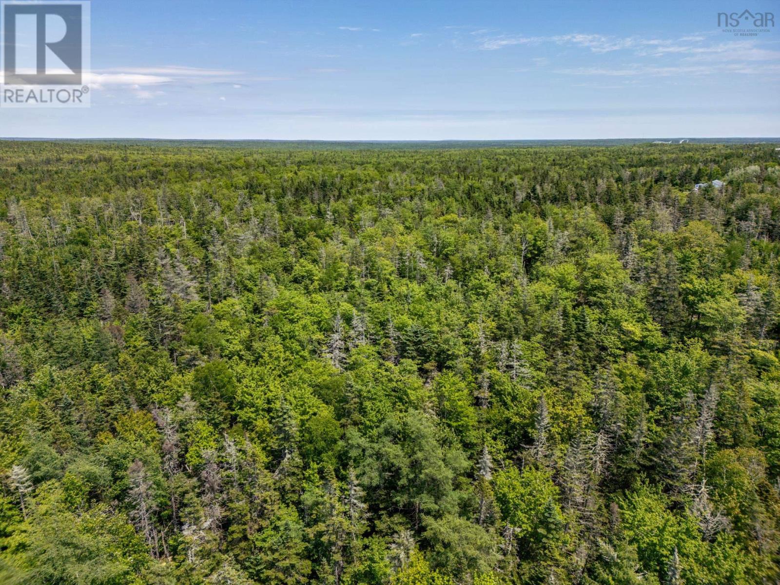 Lot Oak Park Rd, Oak Park, Nova Scotia  B0W 1E0 - Photo 9 - 202415054