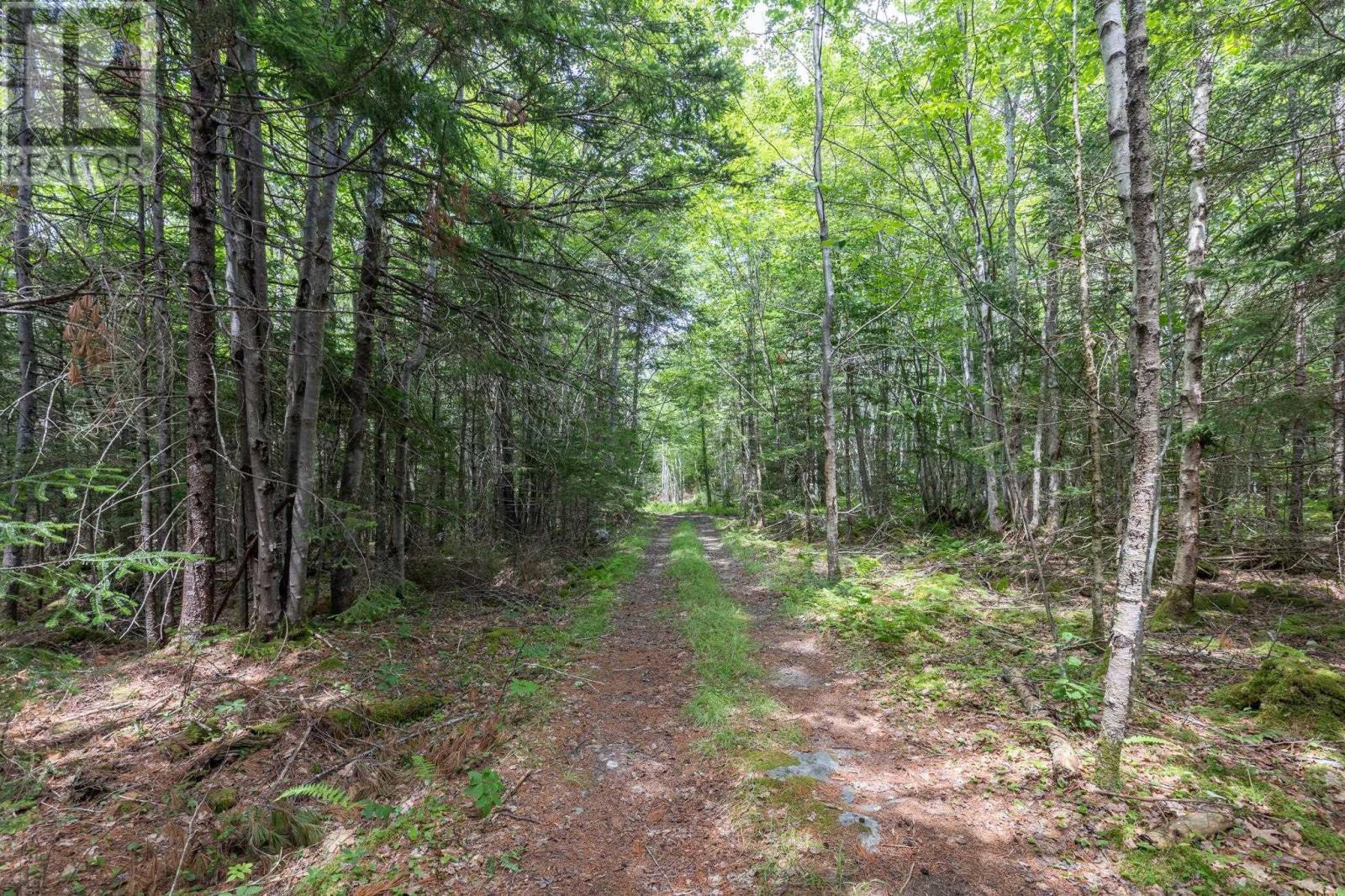 Lots Gordons Trail, Canaan, Nova Scotia  B5A 5R3 - Photo 10 - 202415058