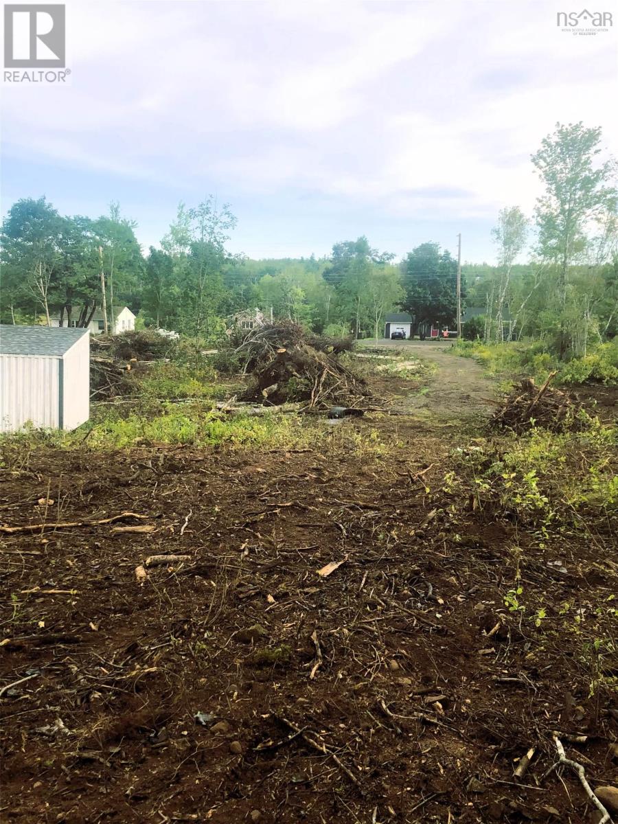 9659 Highway 311, Tatamagouche, Nova Scotia  B0K 1V0 - Photo 3 - 202415107