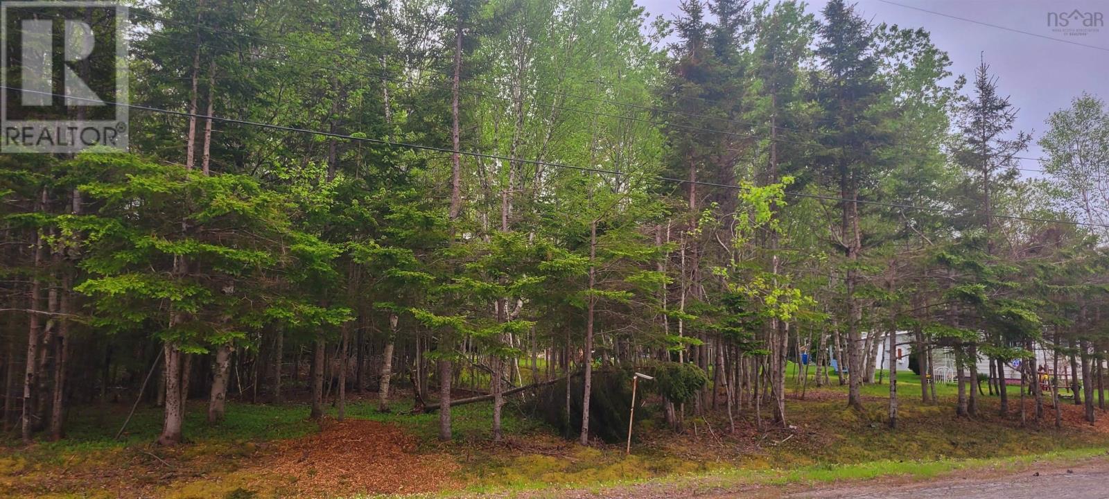 No # Calabash Road, Southside Boularderie, Nova Scotia  B1Y 2S2 - Photo 3 - 202415143