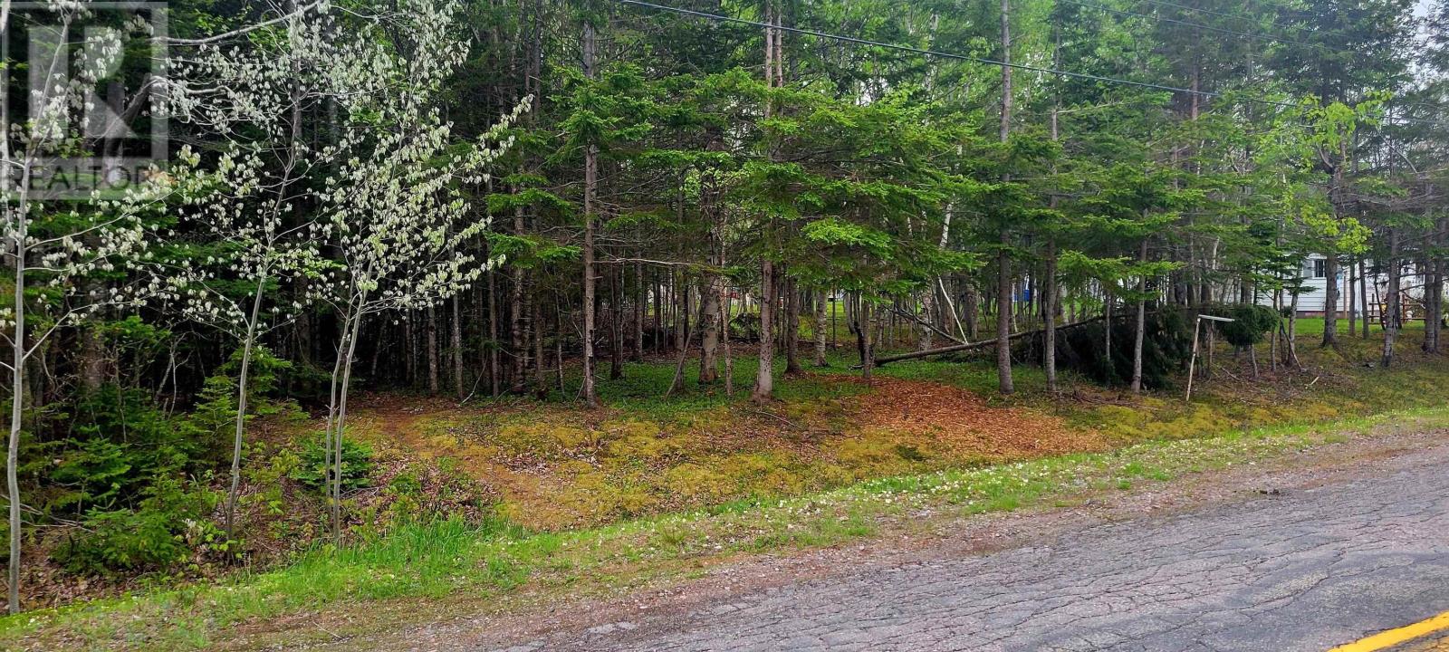 No # Calabash Road, Southside Boularderie, Nova Scotia  B1Y 2S2 - Photo 5 - 202415143