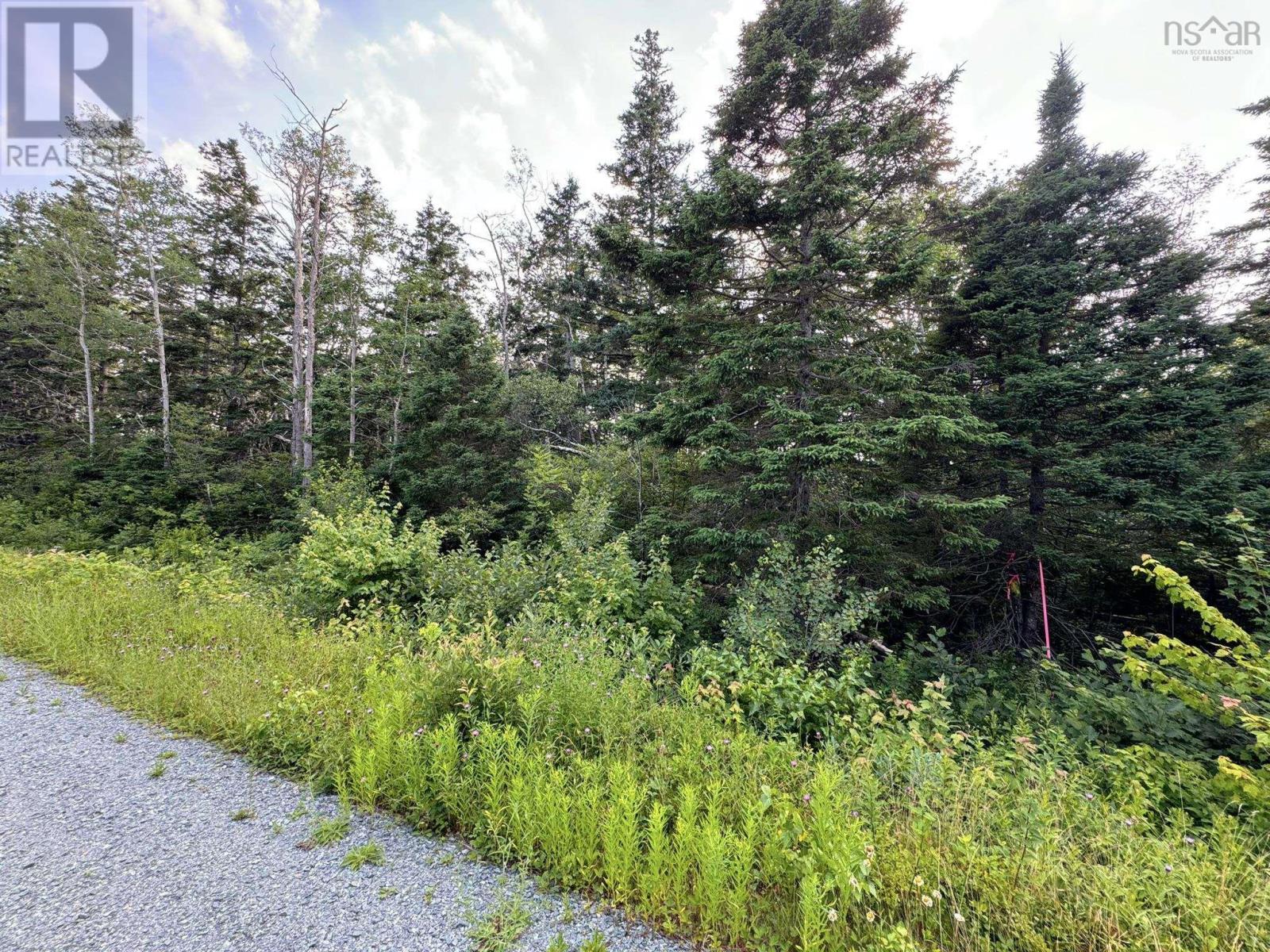 Lot 10 Eastern Shore Road, Port Medway, Nova Scotia  B0J 2T0 - Photo 12 - 202415166