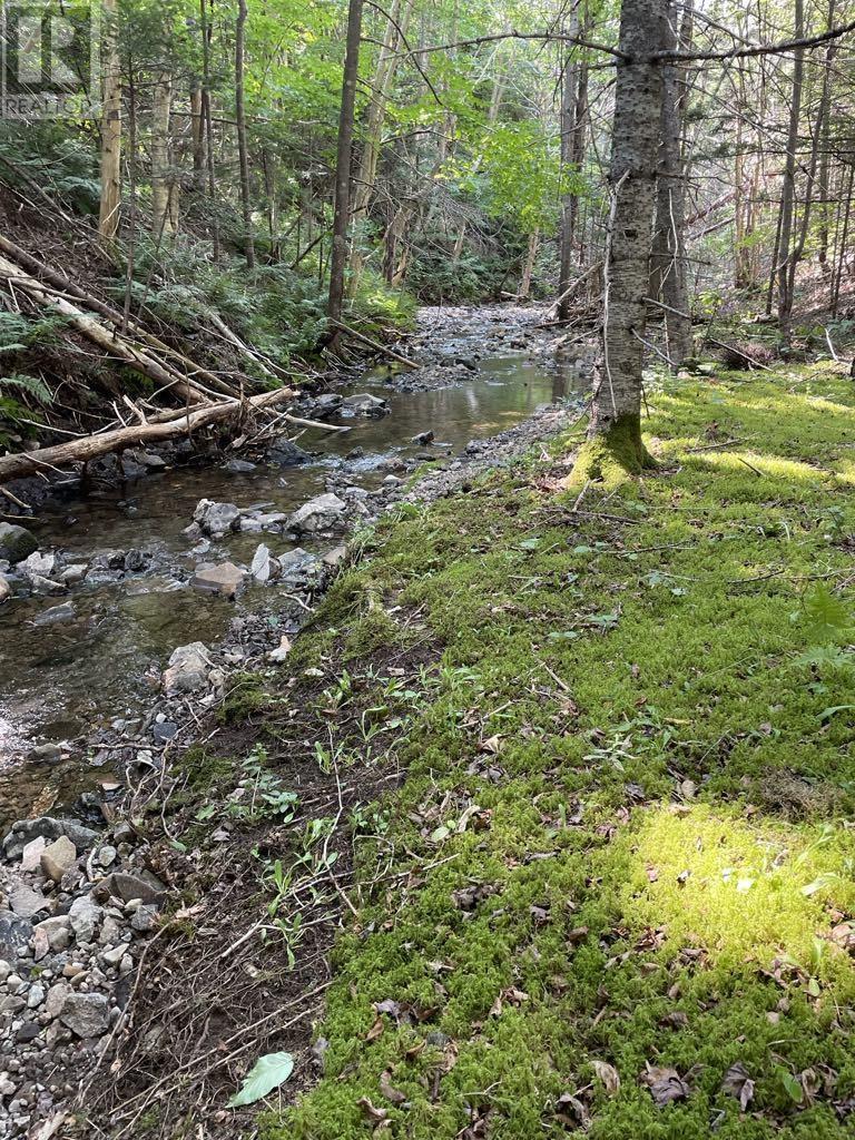 Lot Rjg-1 Long Beach Road, West Glenmont, Nova Scotia  B0P 1H0 - Photo 21 - 202415262