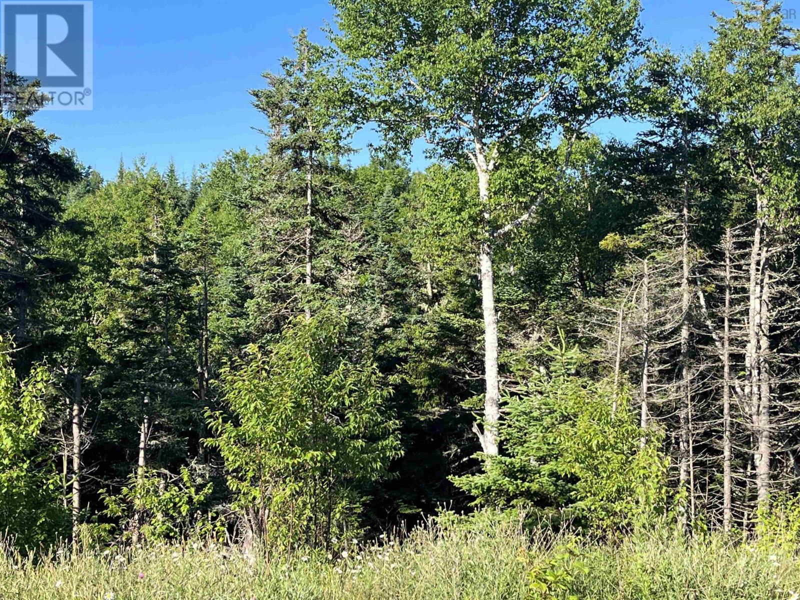 Lot Rjg-1 Long Beach Road, West Glenmont, Nova Scotia  B0P 1H0 - Photo 26 - 202415262