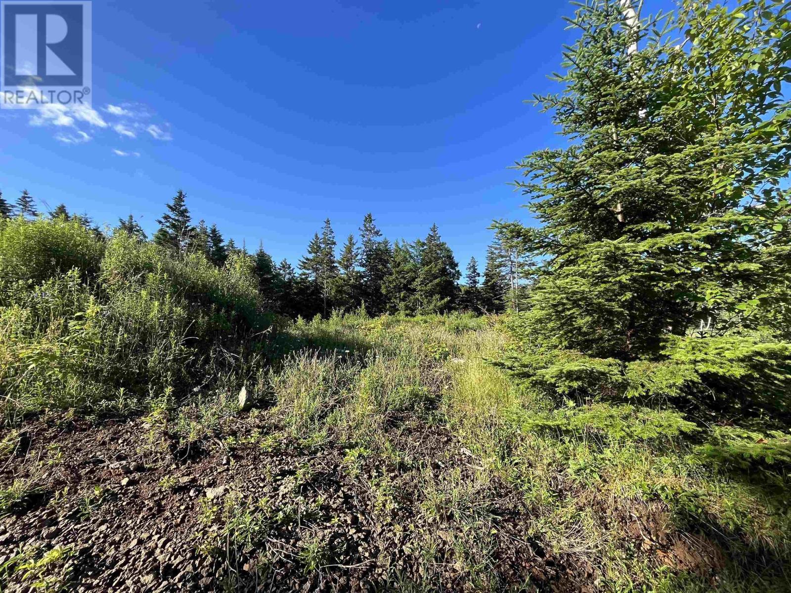 Lot Rjg-1 Long Beach Road, West Glenmont, Nova Scotia  B0P 1H0 - Photo 28 - 202415262