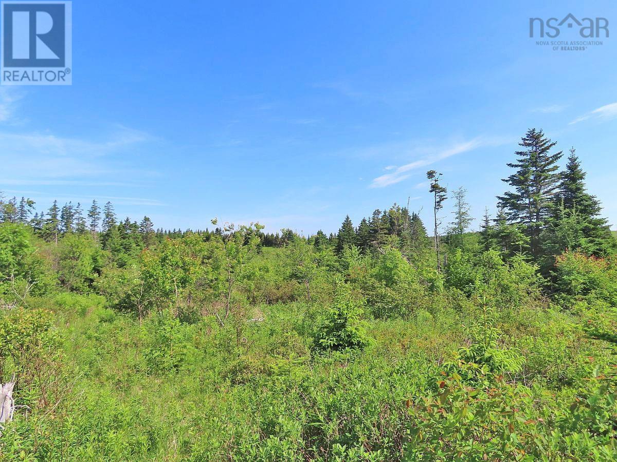 Lot 2 Old Trunk 4 Highway, Soldiers Cove, Nova Scotia  B0E 3B0 - Photo 15 - 202415357