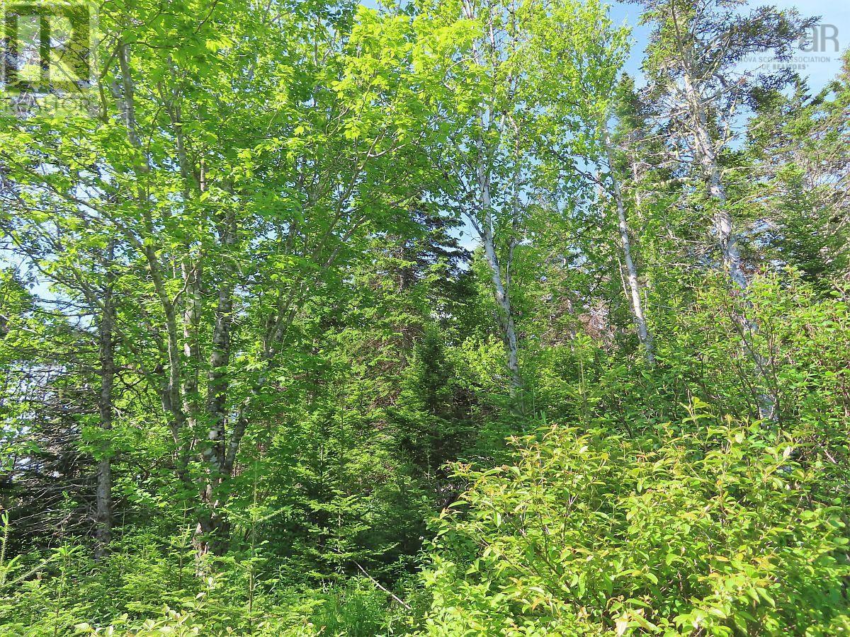 Lot 2 Old Trunk 4 Highway, Soldiers Cove, Nova Scotia  B0E 3B0 - Photo 18 - 202415357