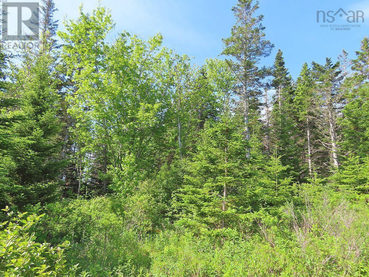 Lot 2 Old Trunk 4 Highway, Soldiers Cove, Nova Scotia  B0E 3B0 - Photo 19 - 202415357