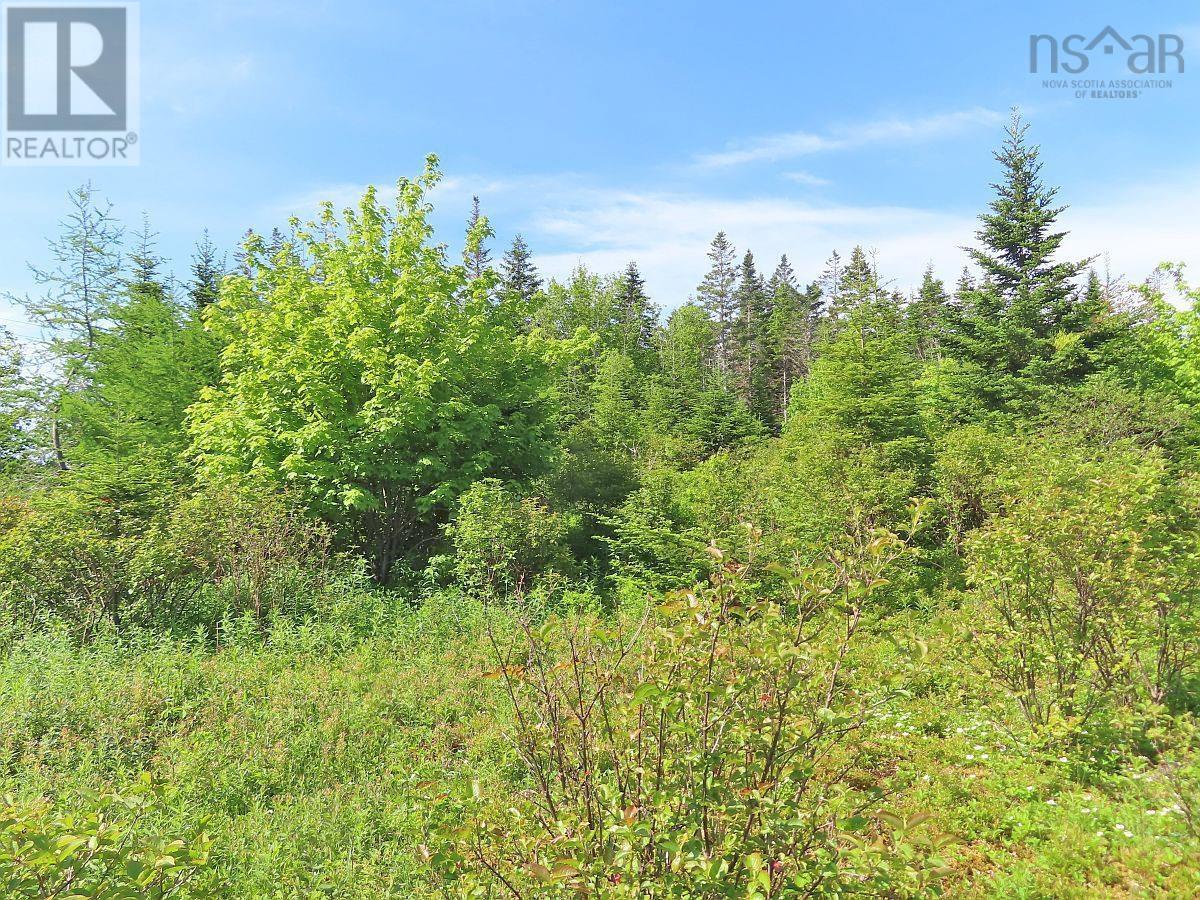 Lot 2 Old Trunk 4 Highway, Soldiers Cove, Nova Scotia  B0E 3B0 - Photo 20 - 202415357