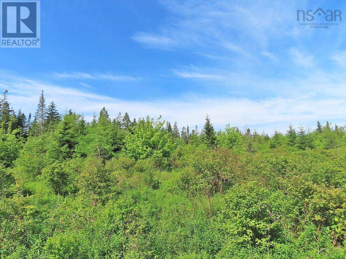 Lot 2 Old Trunk 4 Highway, Soldiers Cove, Nova Scotia  B0E 3B0 - Photo 21 - 202415357