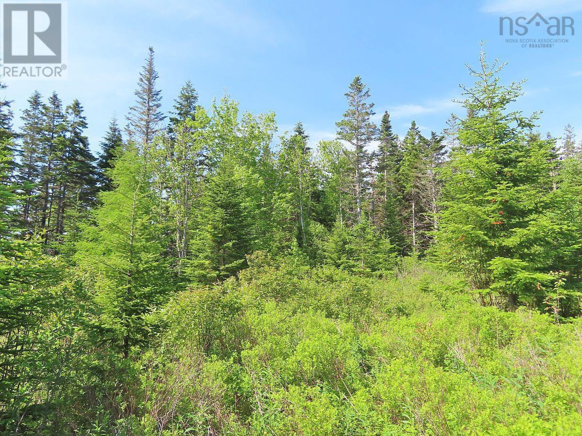 Lot 2 Old Trunk 4 Highway, Soldiers Cove, Nova Scotia  B0E 3B0 - Photo 22 - 202415357