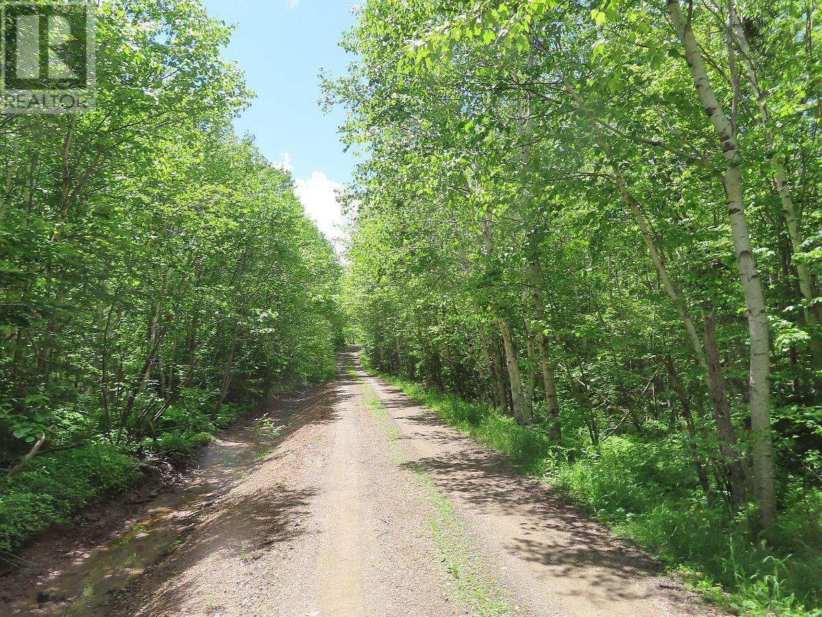 Lot 13 Lee Lane, Malagawash, Nova Scotia  B0E 2Y0 - Photo 10 - 202415363