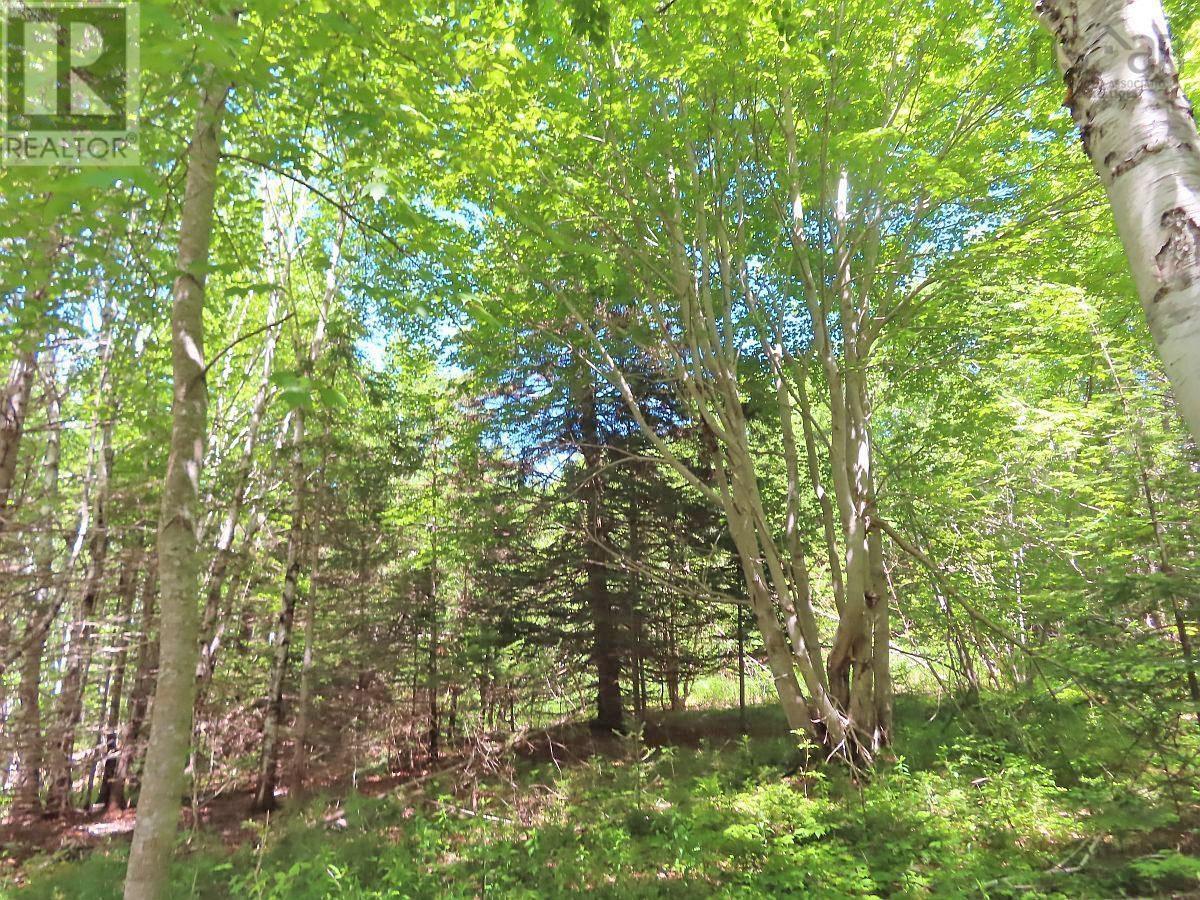 Lot 13 Lee Lane, Malagawash, Nova Scotia  B0E 2Y0 - Photo 13 - 202415363