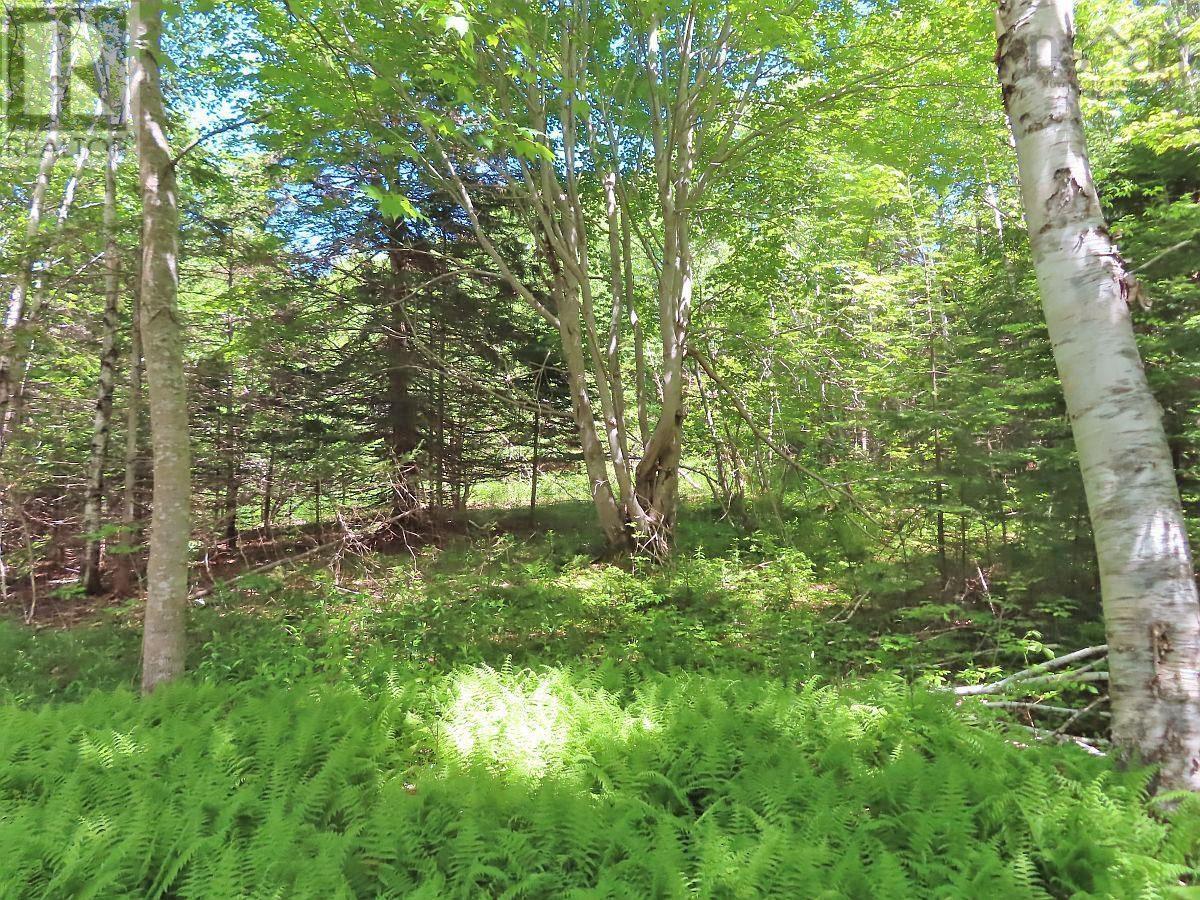 Lot 13 Lee Lane, Malagawash, Nova Scotia  B0E 2Y0 - Photo 15 - 202415363