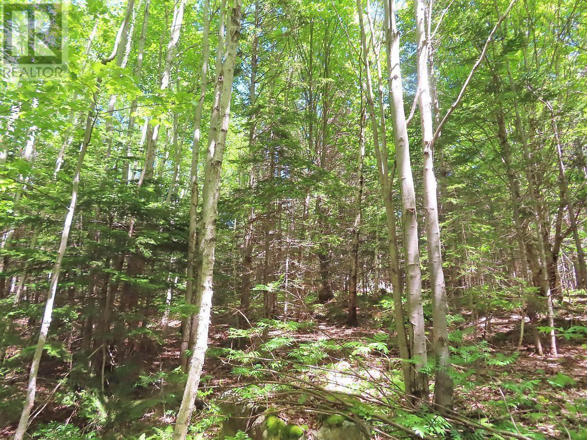 Lot 13 Lee Lane, Malagawash, Nova Scotia  B0E 2Y0 - Photo 16 - 202415363