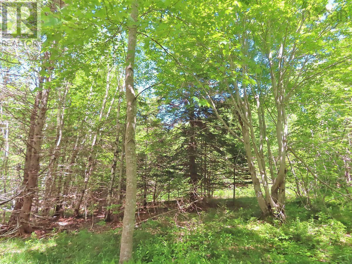 Lot 13 Lee Lane, Malagawash, Nova Scotia  B0E 2Y0 - Photo 17 - 202415363