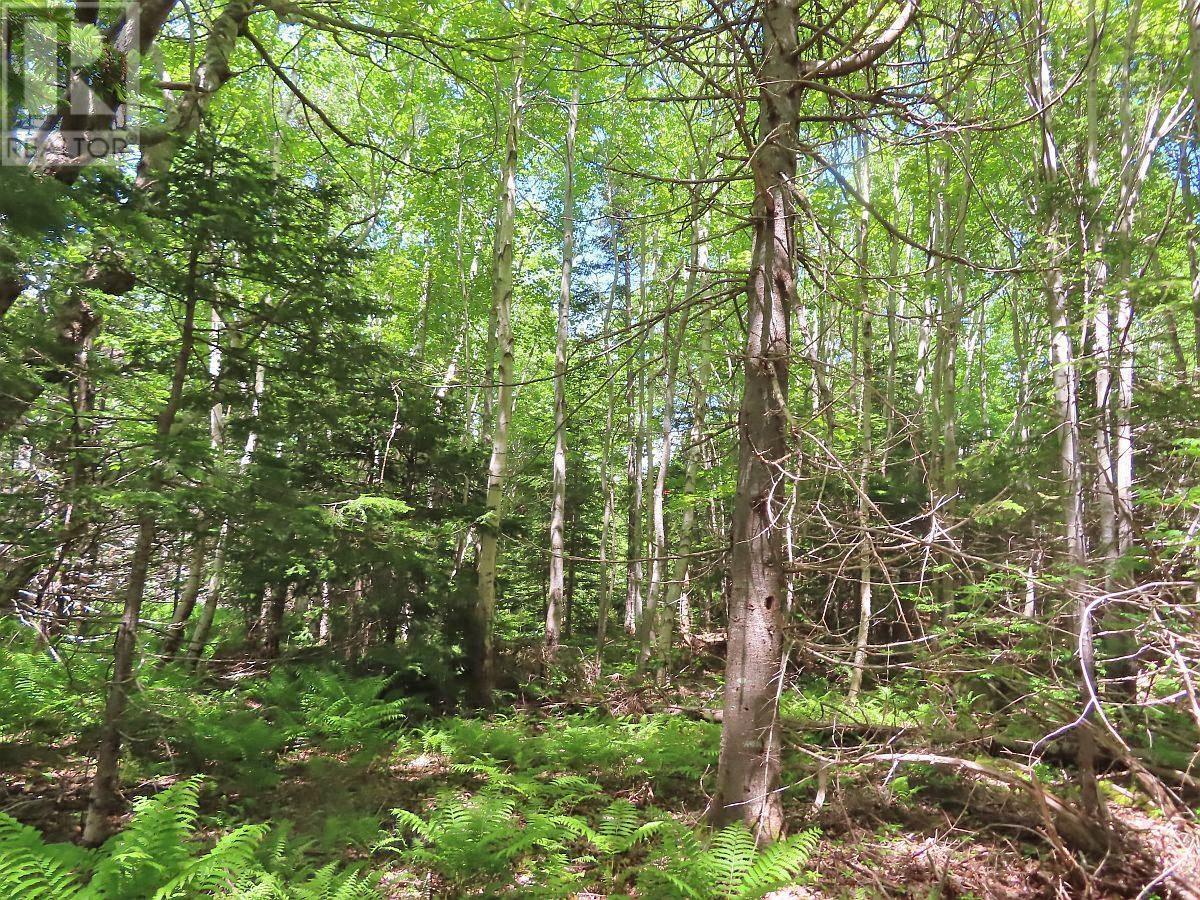 Lot 13 Lee Lane, Malagawash, Nova Scotia  B0E 2Y0 - Photo 18 - 202415363