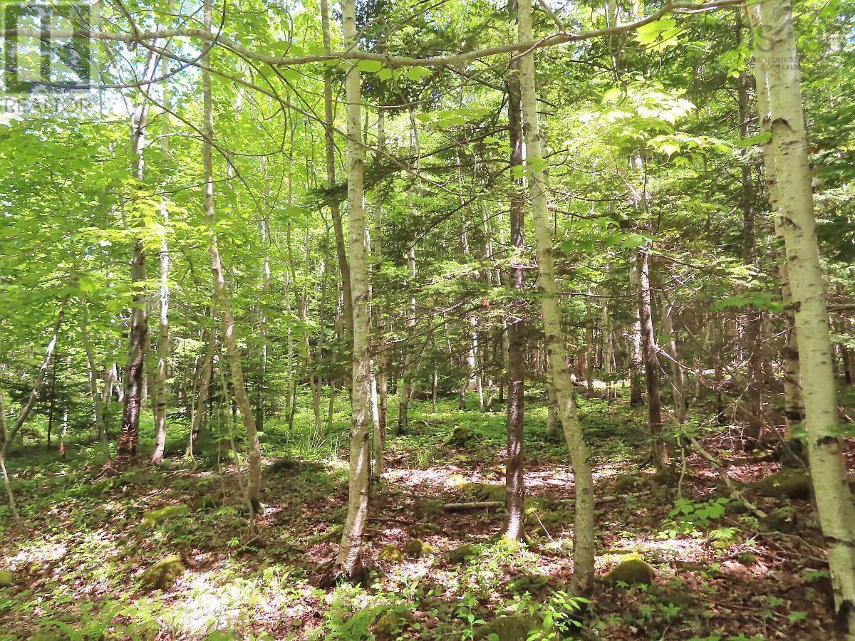 Lot 13 Lee Lane, Malagawash, Nova Scotia  B0E 2Y0 - Photo 20 - 202415363